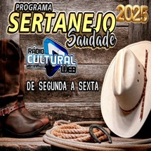 SERTANEJO SAUDADE